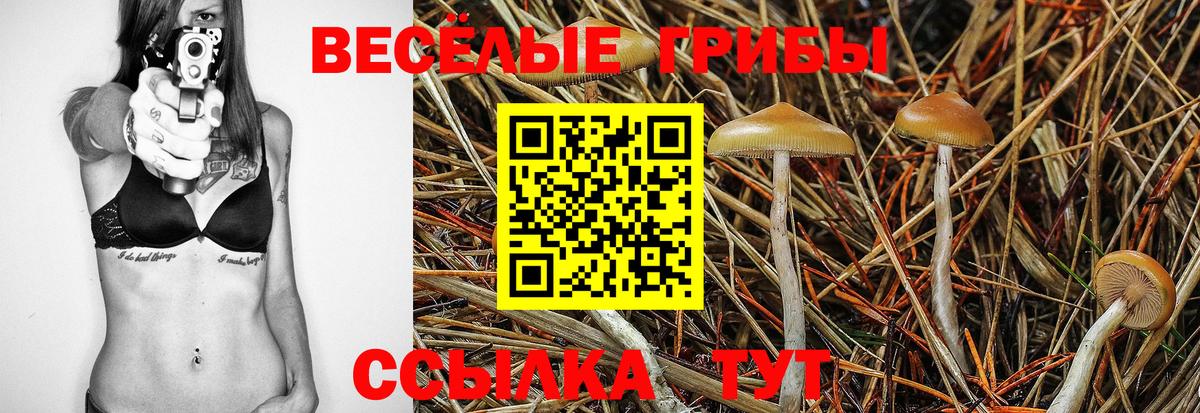 Галлюциногенные грибы мухоморы Туапсе