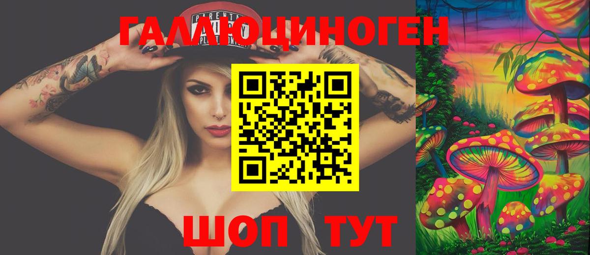 купить   Вход с VPN  Туапсе  Псилоцибиновые грибы Cubensis 